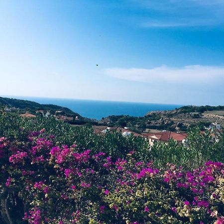 Pissouri Villa Miramar Екстер'єр фото