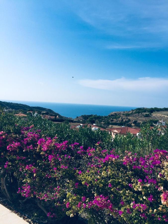 Pissouri Villa Miramar Екстер'єр фото